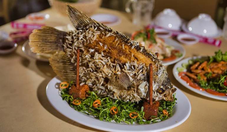 Mekong River Fish
