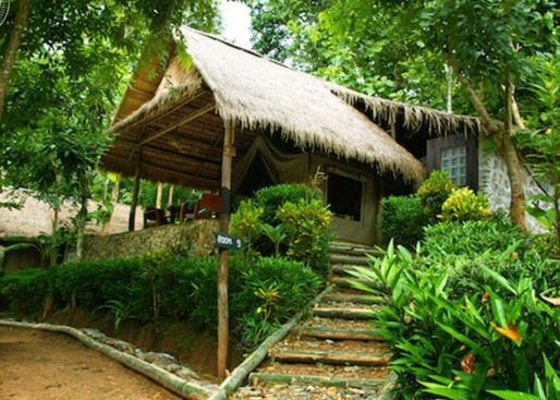 Kamu Lodge