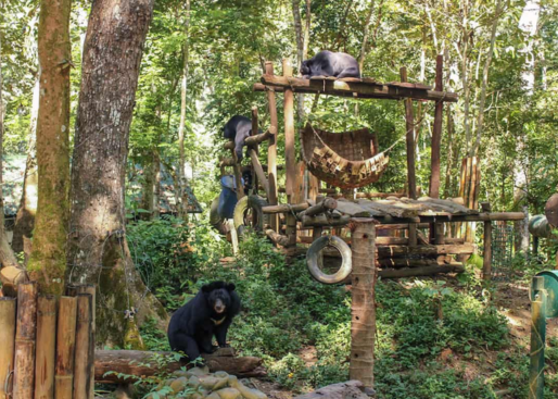 Tat Kuang Si Bear Rescue Center - Give Love to Bear in Luang Prabang